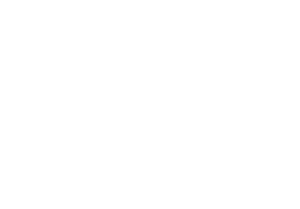 LM Communication